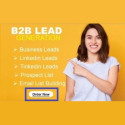 Business Email Leads